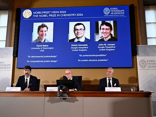 Nobel chemistry prize 2024 goes to trio of protein pioneers