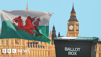 General election 2024: What does the UK government do in Wales?