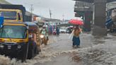 As Mumbai floods again, a reminder of the need to protect mangroves