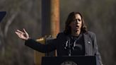 Kamala Harris calls for 'immediate cease-fire' in Gaza