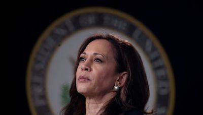 All state Democratic party chairs endorse Harris