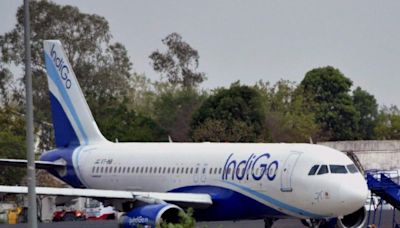 IndiGo Flight From UAE To Delhi Diverted To Muscat Over Technical Issue; Airline Issues Statement - News18