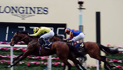 Stars ensure it's been a week to remember at Royal Ascot