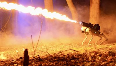 Meet Thermonator, a flame-throwing robot dog with 30-foot range being sold by Ohio company