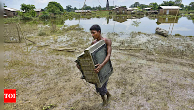 Assam flood-hit sheltering in forest attacked by leopard | India News - Times of India