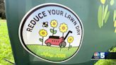 'Reduce Your Lawn Day' aims to boost pollinators, slash pollution