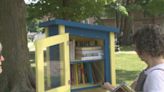 Rotarians place Little Free Libraries around Schuyler County