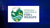 Washington Department of Fish and Wildlife to use drones for data collection | FOX 28 Spokane