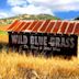 Wild Blue Grass