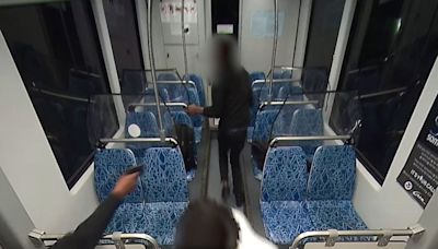 VIDEO: Man shot in fight on CATS Blue Line train