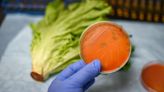 Listeria outbreak: What to know and how to protect yourself