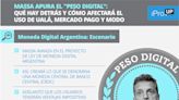 Peso digital: cómo es el proyecto que recibió Massa