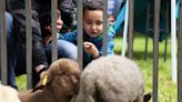 Things to do: Sheep to Shawl, archaeology open house at Willamette Heritage Center