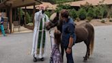 Around Town: Blessing of the Animals returns; Hendersonville Chorale holds first rehearsal