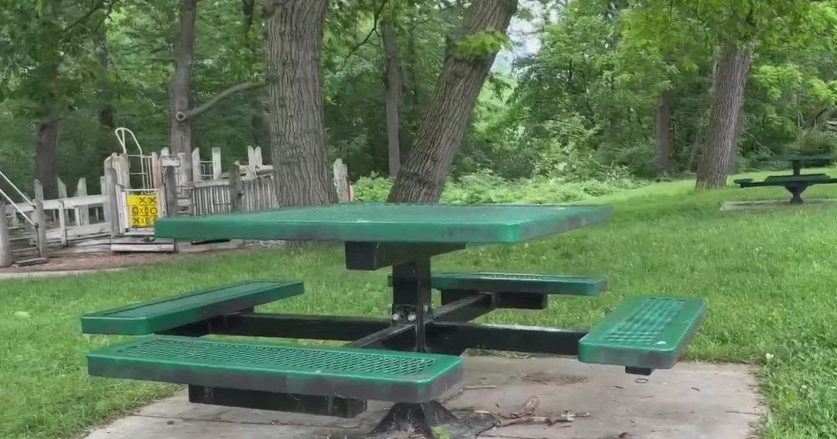 Ann Arbor moves forward with $19 million plan to make parks more accessible