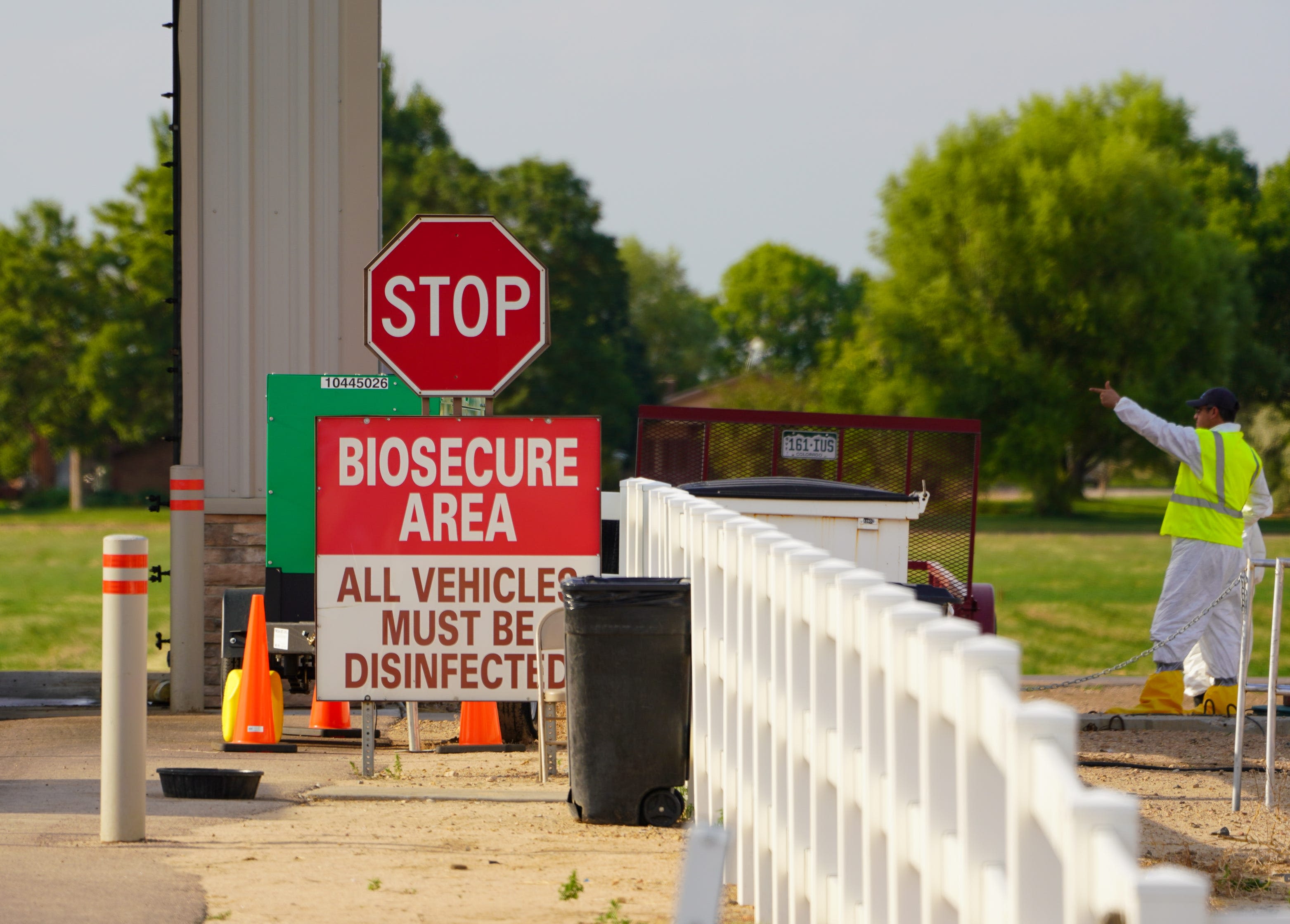 First person tests positive for bird flu without clear exposure to sick animals