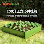 新店促銷 bloombagz6方格蔬菜箱 長方形種菜 庭院半米菜園跨境專用歡迎諮詢 可開發票