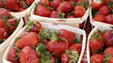 Hot, dry spring shortens strawberry season: Here's where you can still pick in central Ohio