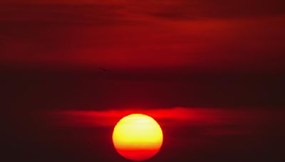 La tercera ola de calor aún no termina y ya estamos esperando la cuarta: esto es lo que sabemos