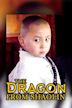 Dragon from Shaolin