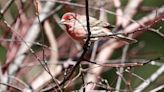 Dane County to award $900,000 to help establish 348-acre wildlife conservation area