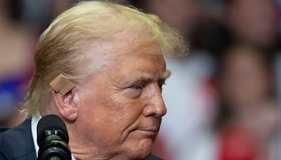 What We Do and Don't Know About Trump's Ear Wound