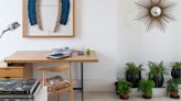 How to start a minimalist indoor garden – designers create calming, pared-back but plant-filled spaces