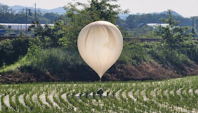 North Korea Accused of Floating Poo Balloons Into the South