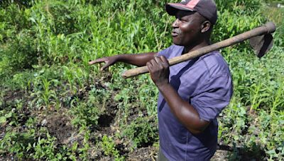 Kenya Dying Soils