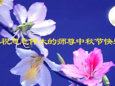 見證大法神奇 大陸百姓祝李洪志大師中秋好 | 九字真言 | 法輪大法好 | 中秋節 | 大紀元