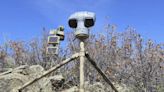 Webcam monitors hundreds of rattlesnakes at a Colorado 'mega den' for citizen science