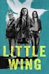 Little Wing (2024 film)