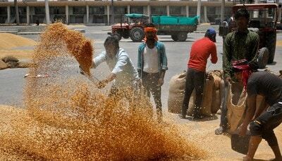 Wheat stocks in govt warehouses at 16-year low after record state sale