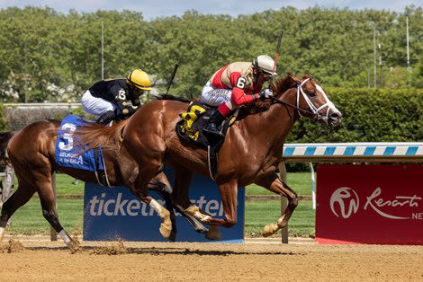 Centennial Seeks Second Belmont Win With Antiquarian