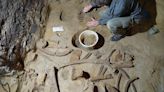 Three Mammoth Skeletons Discovered in Wine Cellar