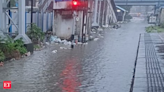 Mumbai local train services impacted due to heavy rains. Western, Central Railways issue updates - The Economic Times