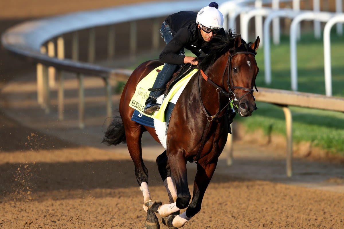 Meet the 10 horses running in Saturday's Belmont Stakes