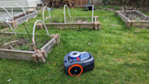 Everything I’ve Learned Testing Several Robot Lawn Mowers