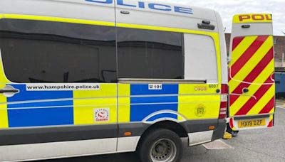 Man assaulted his mother in "alcoholic rage" before spitting at police van