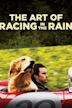 The Art of Racing in the Rain