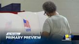 11 TV Hill: Factors leading to voters' decisions in 2024