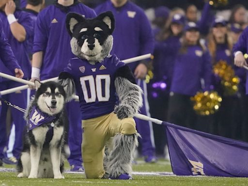 Washington Huskies vs WSU Cougars football game streaming only on Peacock in Week 3: How to watch the Apple Cup