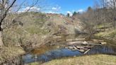 Montpelier ‘Stump Dump’ forced to close after encroaching on wetland of its own creation