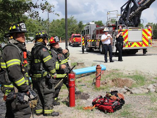 From fires to rescuing pets, here's where the Wilmington Fire Department is needed