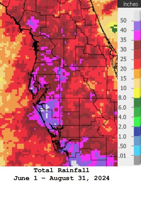 Record rainfall: Sarasota, Bradenton area sees wettest summer and August ever