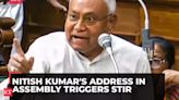 Nitish Kumar's address in assembly triggers stir, draws flak from RJD 'You are a woman ...'