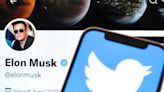 Under Elon Musk's leadership, Twitter could become a 'supercharged engine of radicalization,' critics warn