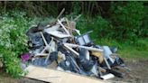 Flytipper jailed for dumping waste at popular North East park