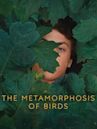 The Metamorphosis of Birds