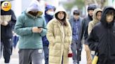 「寒流正在路上」這波將是入冬以來最冷 陽明山下雪機率超過75%